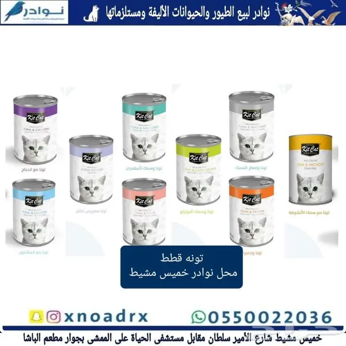 اكل ورمل قطط ومستلزماتها نوادر 71