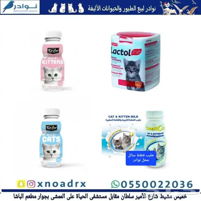 اكل ورمل قطط ومستلزماتها نوادر 74
