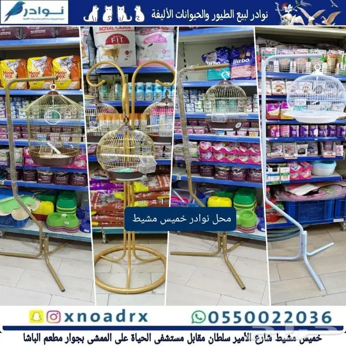طيور زينة وجميع مستلزماتها للبيع نوادر 73