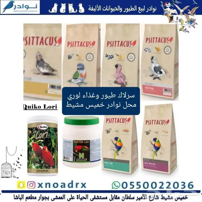 طيور زينة وجميع مستلزماتها للبيع نوادر 81