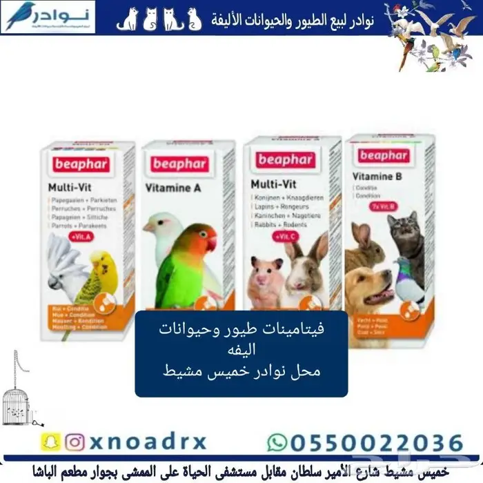 طيور زينة وجميع مستلزماتها للبيع نوادر 82