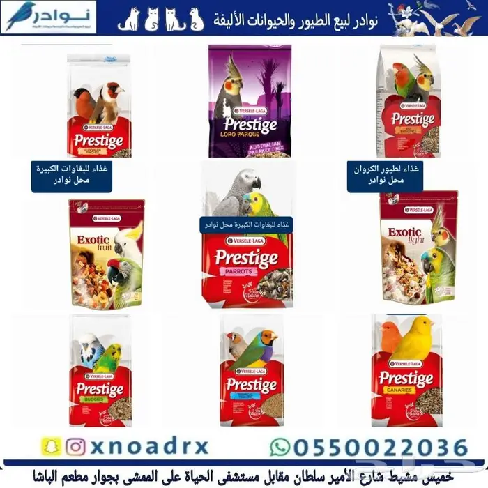 طيور زينة وجميع مستلزماتها للبيع نوادر 79