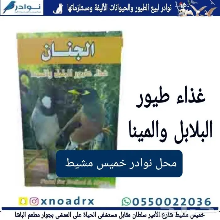 طيور زينة وجميع مستلزماتها محل نوادر 68
