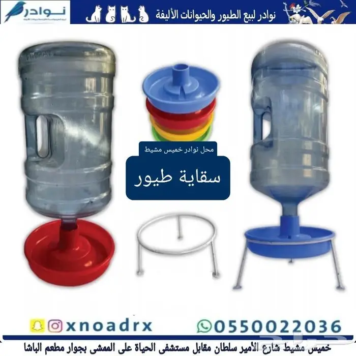 طيور زينة وجميع مستلزماتها محل نوادر 69