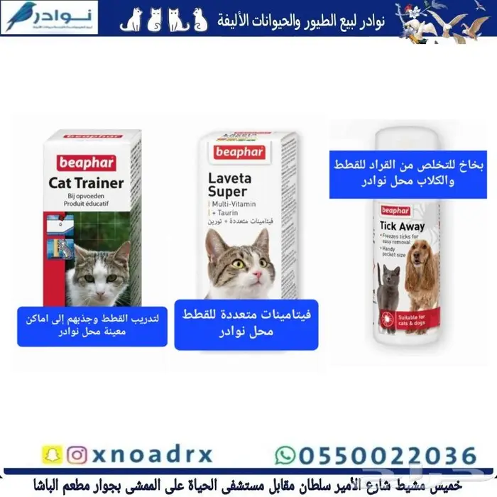 اكل كلاب صغيرة وكبيرة نوادر وجميع مستلزماتها 74