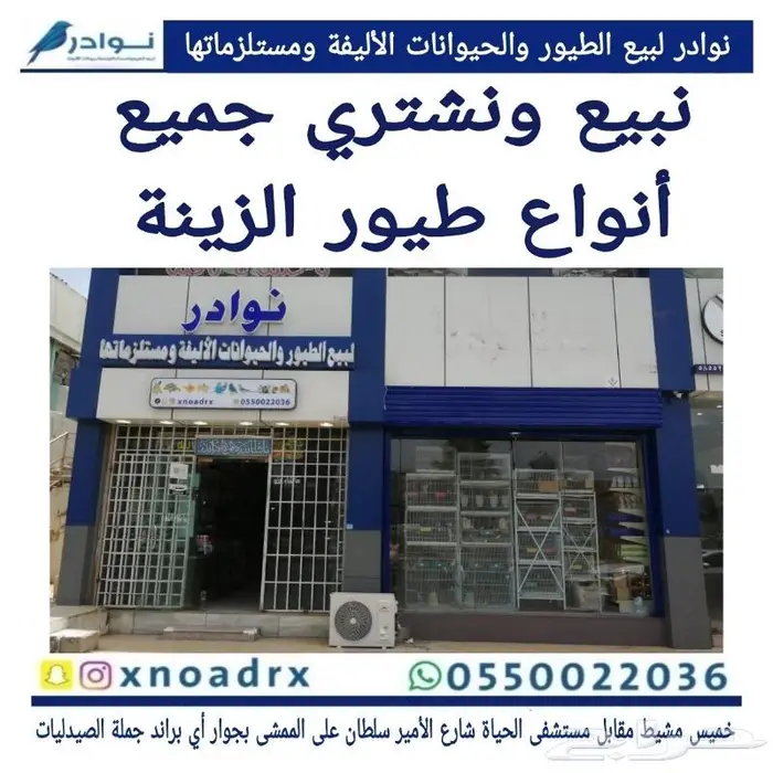 اكل كلاب صغيرة وكبيرة نوادر وجميع مستلزماتها 75