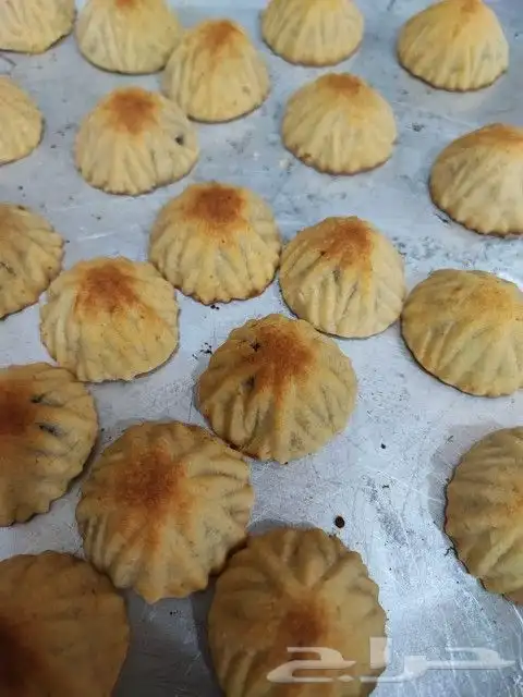 معمول فلسطيني 8