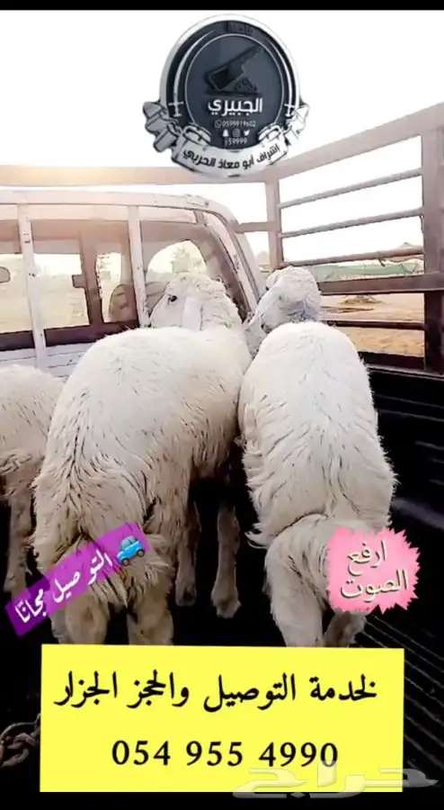 حري وسواكني وحوار التوصيل مجان ا 3