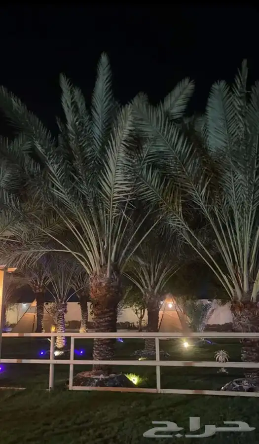 ايواء للخيل وجميع مايخص الخيل 1