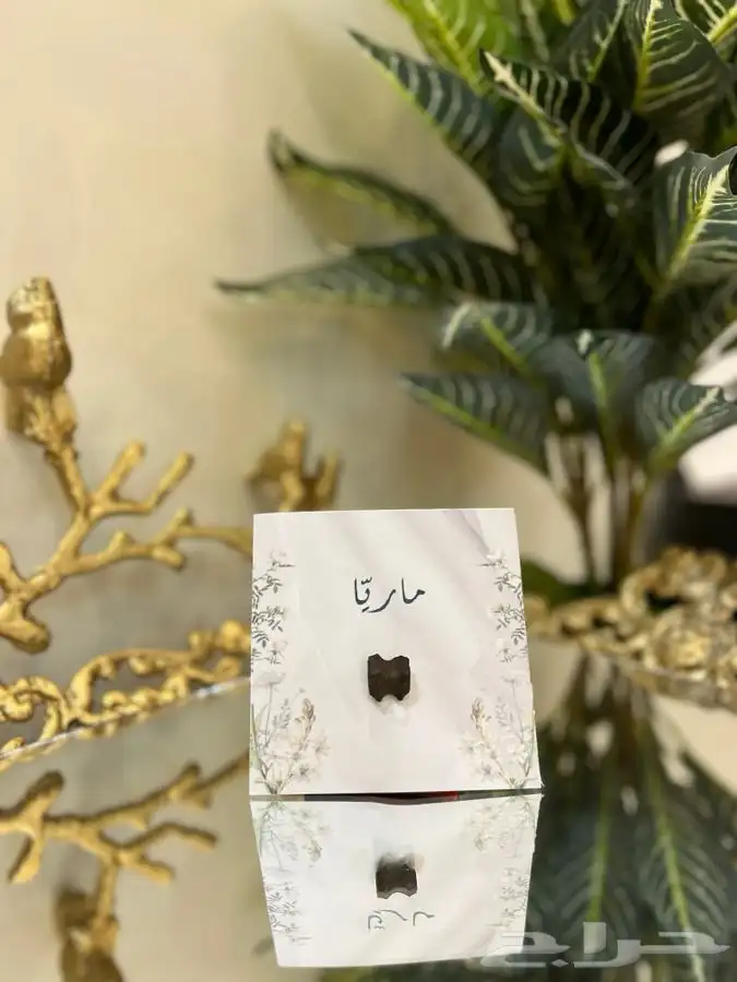 توزيعات مواليد وزواجات 3