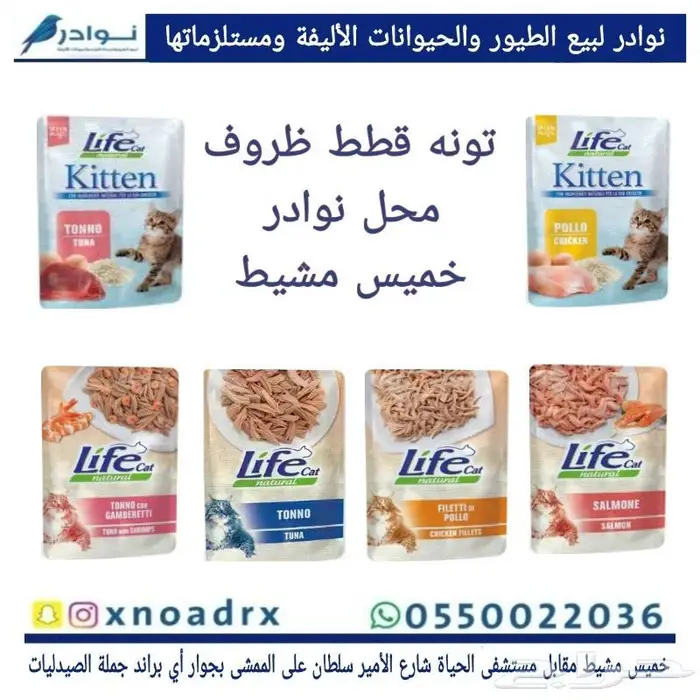 طيور زينة ومستلزماتها محل نوادر خميس مشيط 37