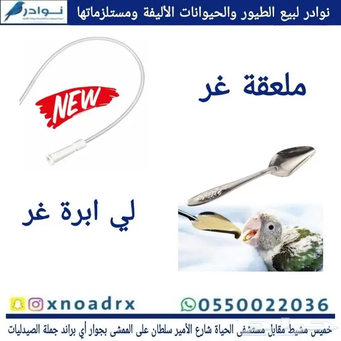 جديد مستلزمات طيور وقطط وهامستر وسلاحف نوادر 79