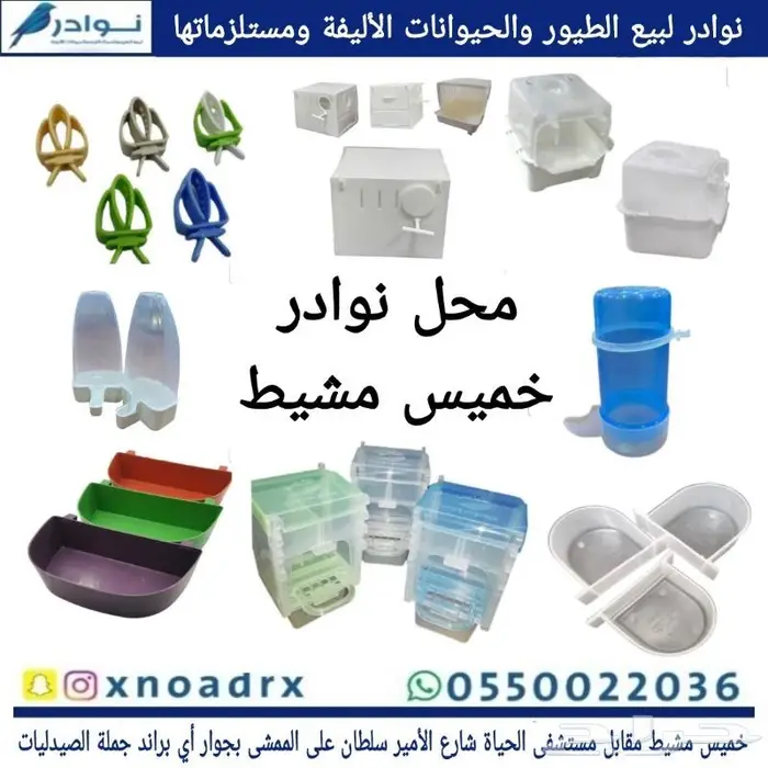 اعشاش بياضات طيور زيبرا وبادجي نوادر 3