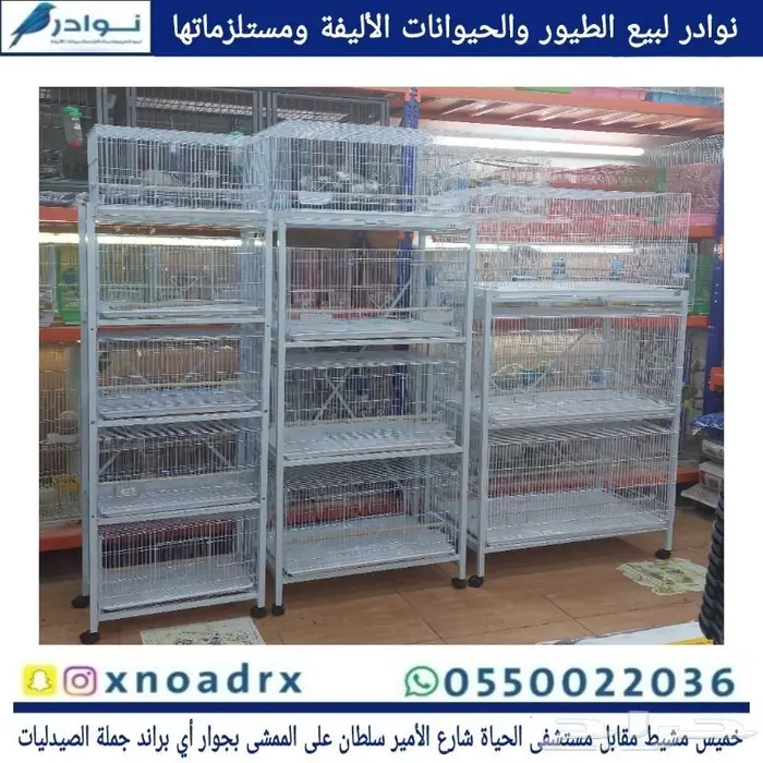 اعشاش بياضات طيور زيبرا وبادجي نوادر 11