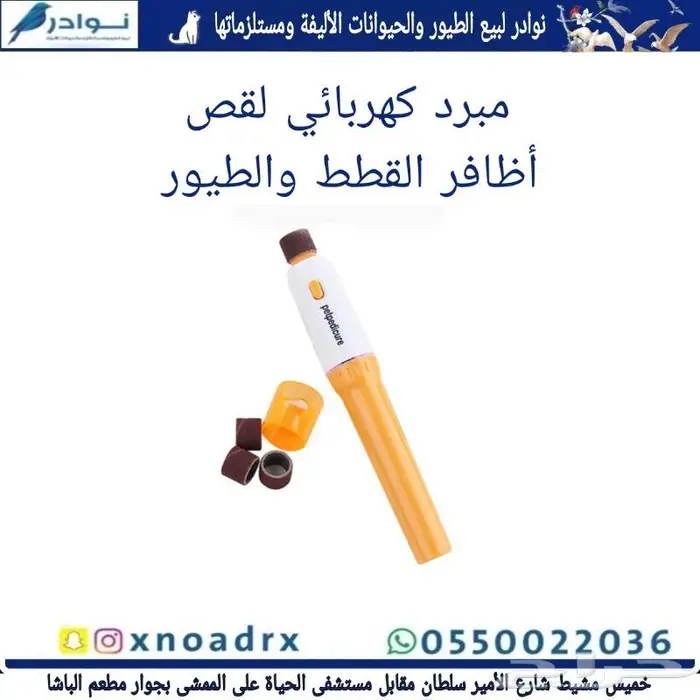 اعشاش بياضات طيور زيبرا وبادجي نوادر 14