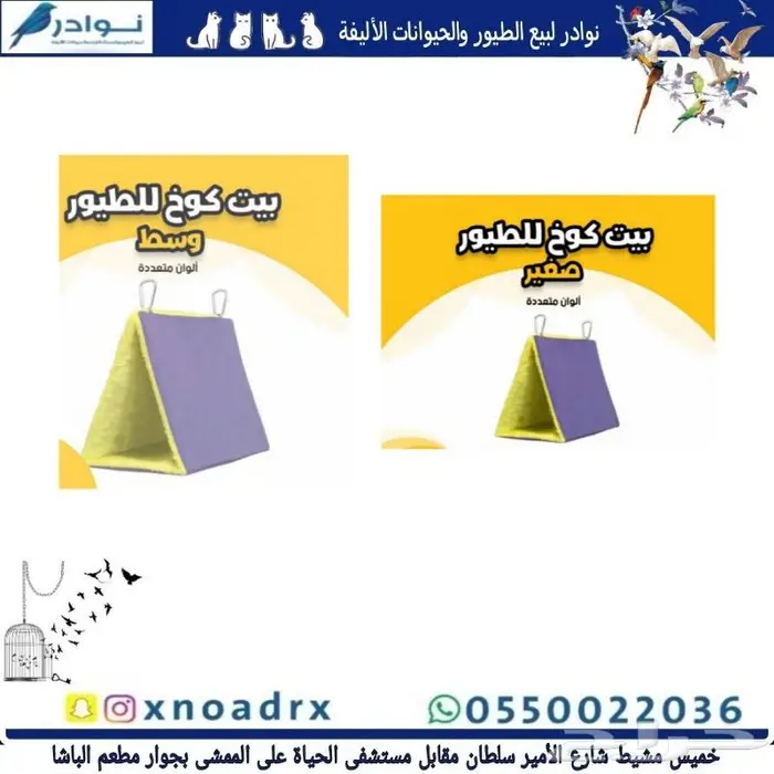 اعشاش بياضات طيور زيبرا وبادجي نوادر 36