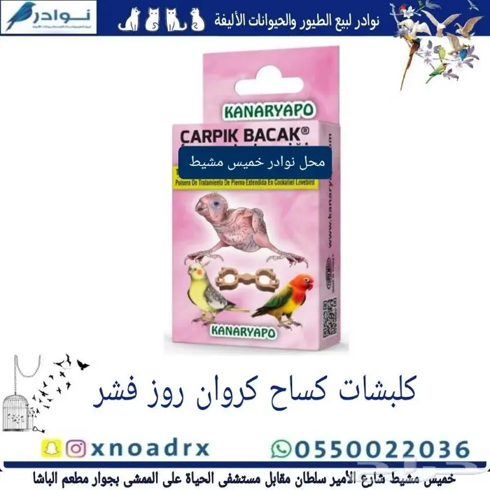 اعشاش بياضات طيور زيبرا وبادجي نوادر 25