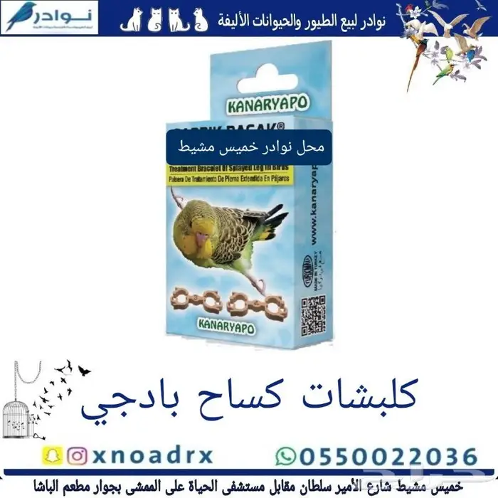 اعشاش بياضات طيور زيبرا وبادجي نوادر 26