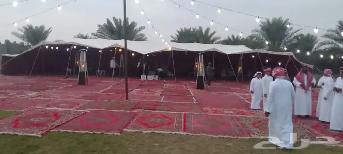 تاجير فرش جديد وخيام تاجير كراسي ملكي وحديد واحمر تاجير 1