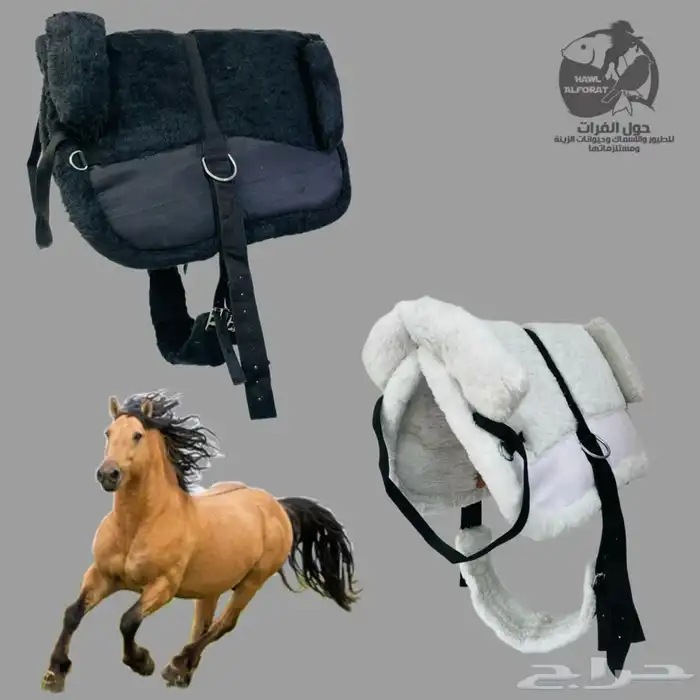 لبادة خيل و لبادة ركوب 16