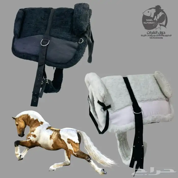 لبادة خيل و لبادة ركوب 13