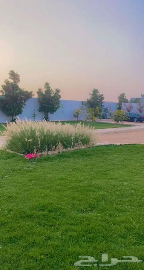 استراحة مشجرة للإيجار اليومي في العماريه 1