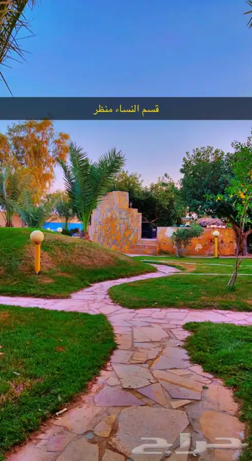 مخيم عبق البيلسان 3