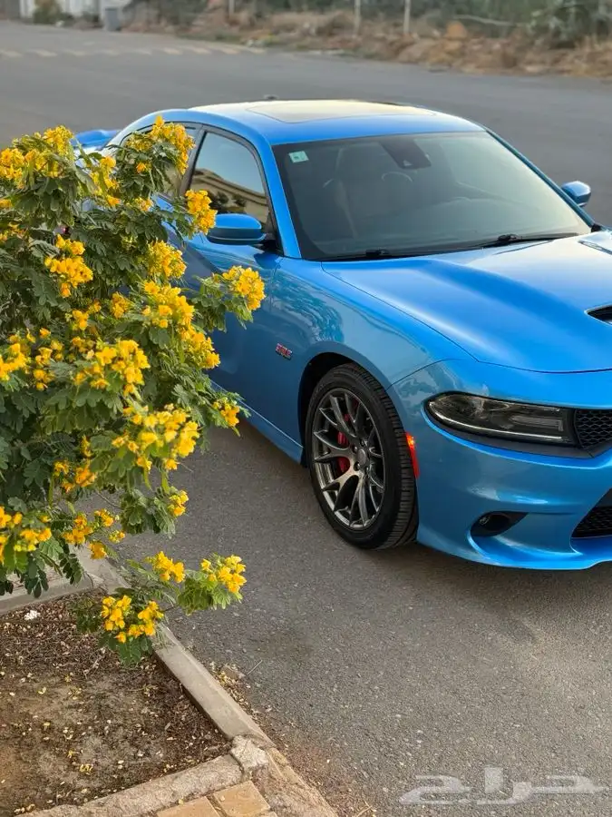 SRT طلبيه الالوان الحبه الوحيده في المملكه 0