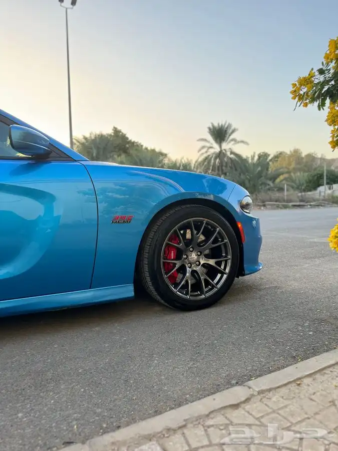 SRT طلبيه الالوان الحبه الوحيده في المملكه 5