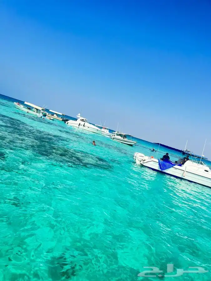 تاجير يخوت وقوارب بحرية 0