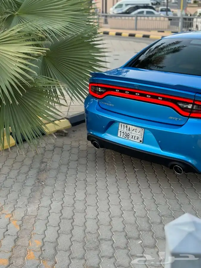 SRT طلبيه الالوان الحبه الوحيده في المملكه 22