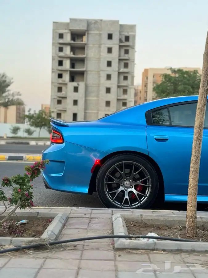 SRT طلبيه الالوان الحبه الوحيده في المملكه 28