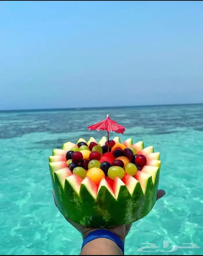 تاجير يخوت وقوارب بحرية 8