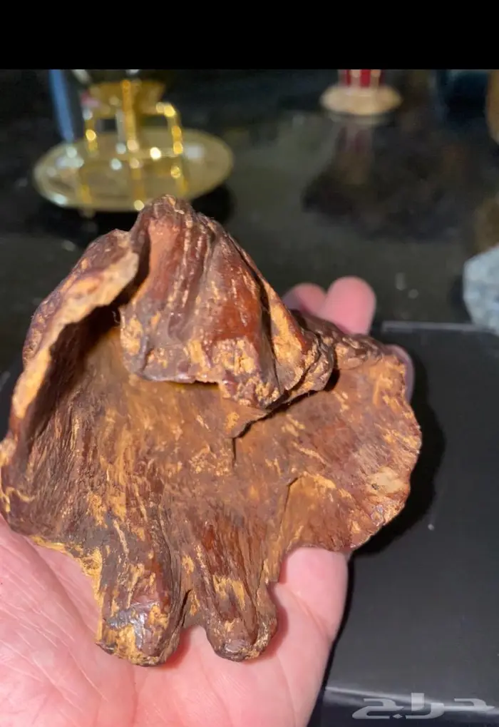 عود ماليزي ترينجانو نادر صك قديم 3