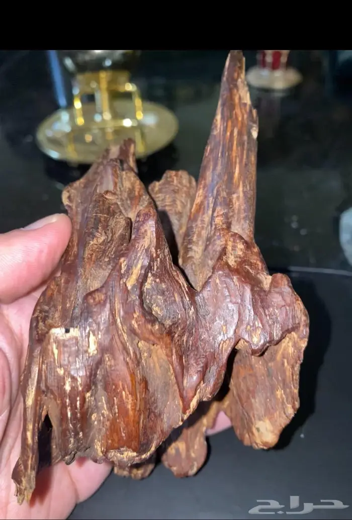 عود ماليزي ترينجانو نادر صك قديم 2