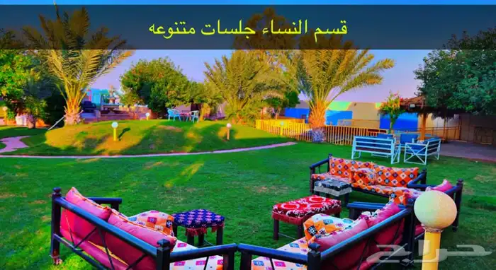 مخيم عبق البيلسان 2