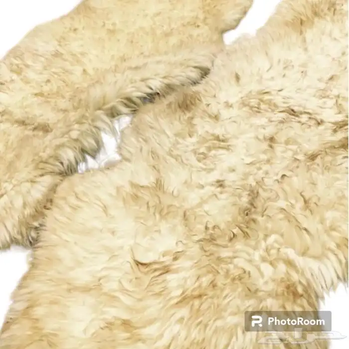 جاعد نعيمي طبيعي 1