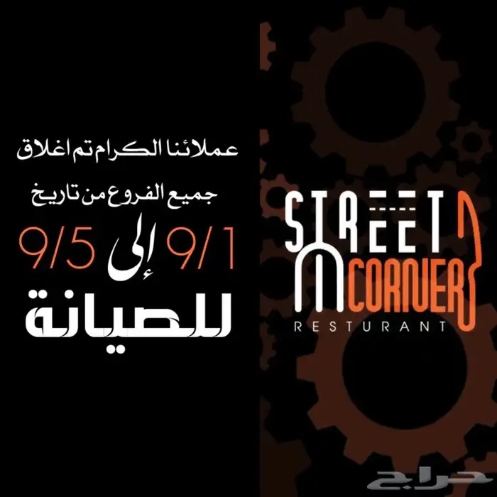 مصورة فوتوغرافية ومصممة جرافيك 3