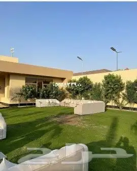 تأجير كراسي طاولات طعام 7