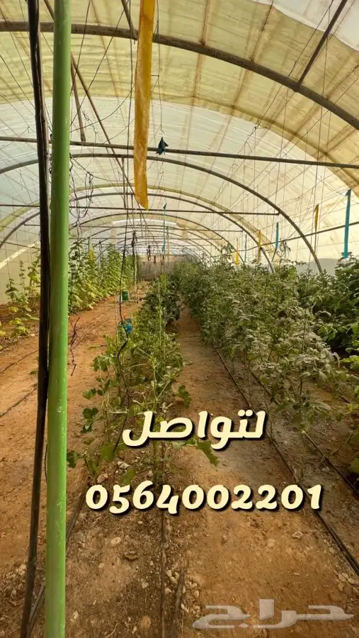 الرحمانيه الهياثم العفجه العتيق الخرج النخيل اراضي استراحه 9