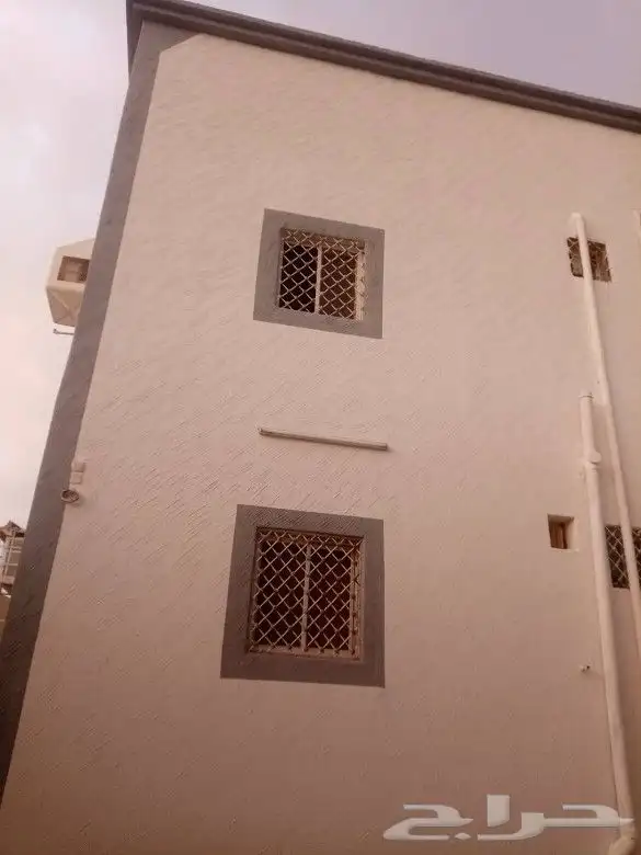 متخصصون في مجال المعمار 2