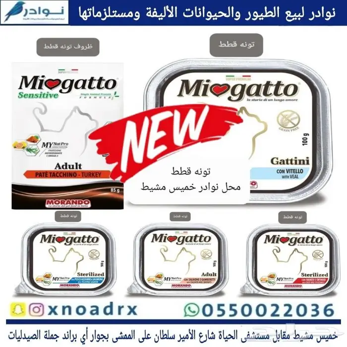 طيور زينة وجميع مستلزماتها نوادر خميس مشيط 47