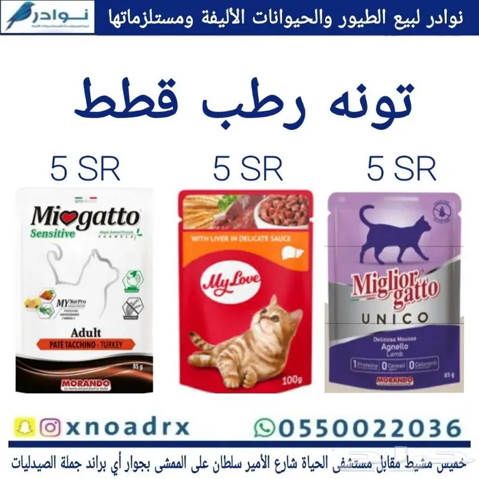 طيور زينة وجميع مستلزماتها نوادر خميس مشيط 53