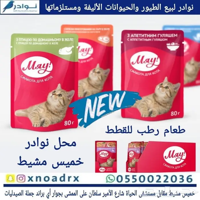 طيور زينة وجميع مستلزماتها نوادر خميس مشيط 54