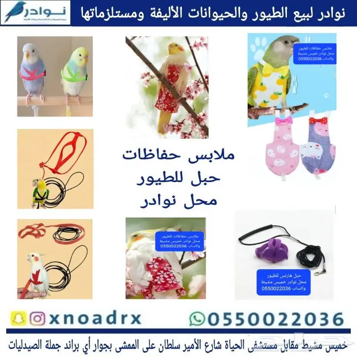 نوادر لبيع الطيور وجميع مستلزماتها 29