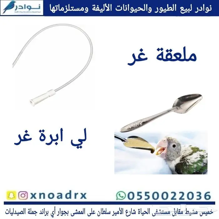 نوادر لبيع الطيور وجميع مستلزماتها 30