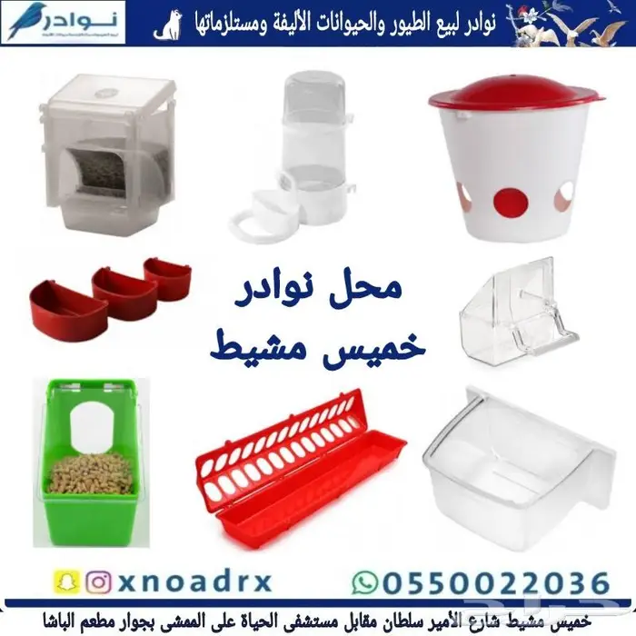 نوادر لبيع الطيور وجميع مستلزماتها 53