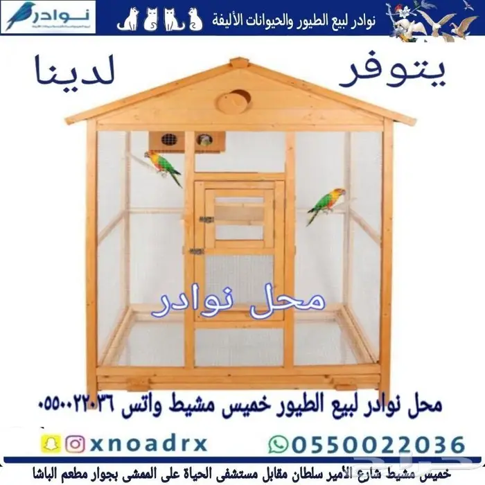 نوادر لبيع الطيور وجميع مستلزماتها 68