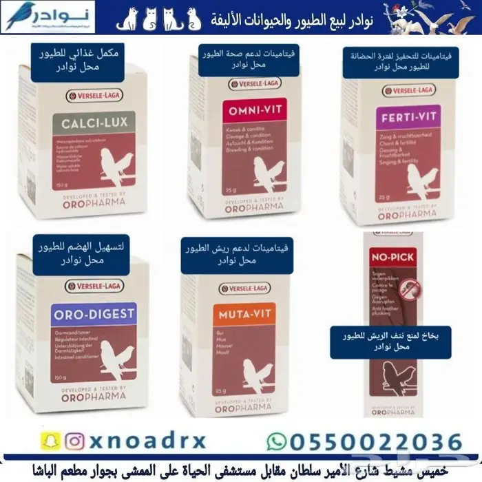 نوادر لبيع الطيور وجميع مستلزماتها 72