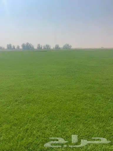 ثيل طبيعي c2000 2